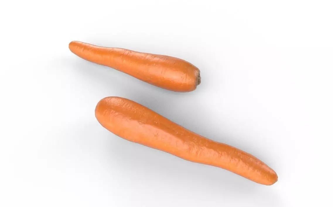 Carrot M05 Low-poly 3D model_3