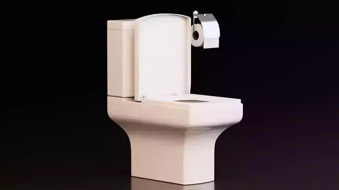Modern Ceramic Toilet With Toilet Paper Holder Low-poly 3D model