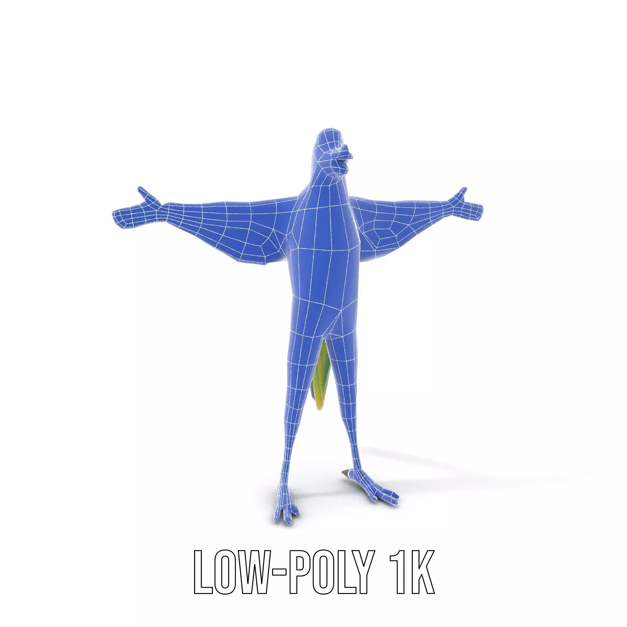 Vibrant Parrot Character model pack Low-poly 3D model_22