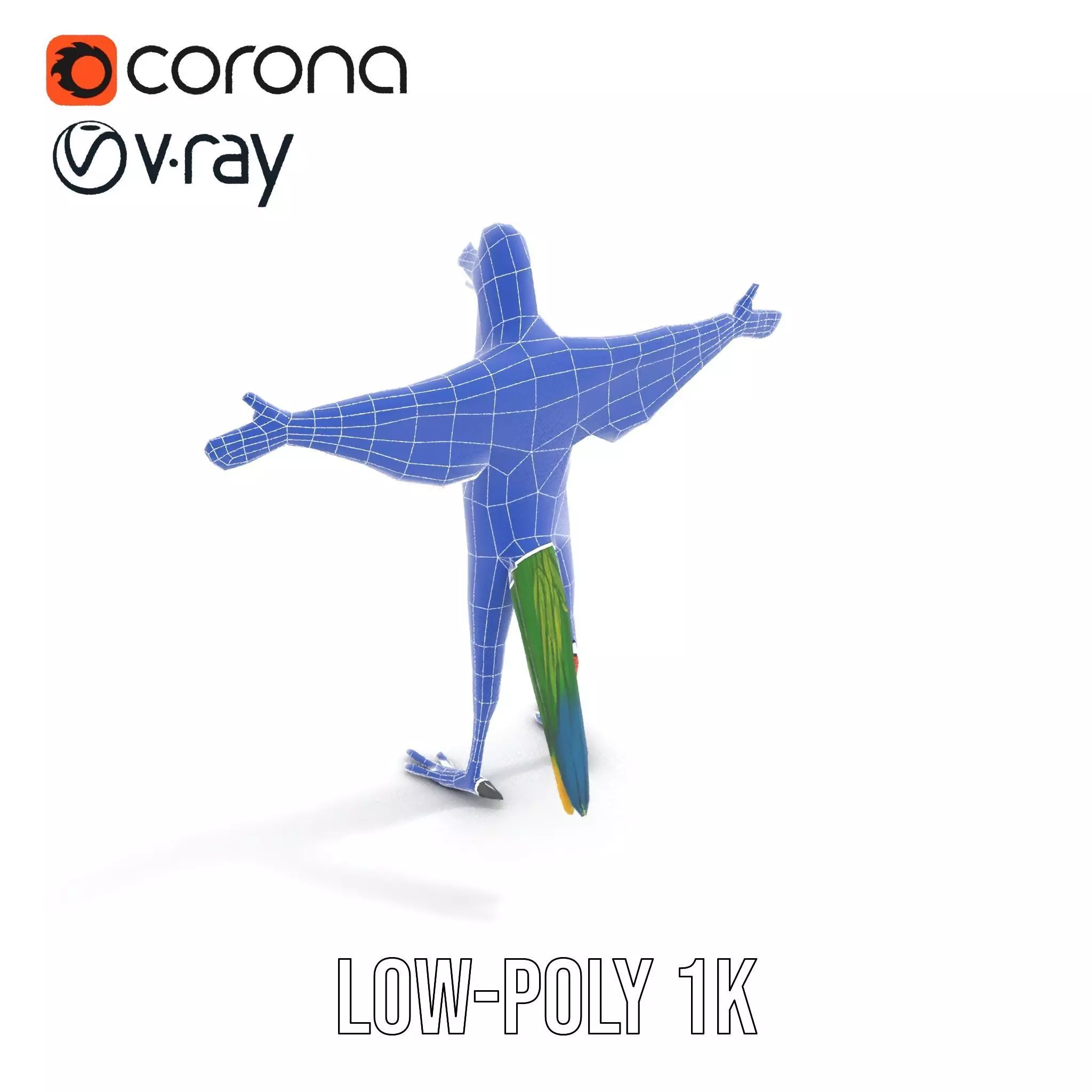 Vibrant Parrot Character model pack Low-poly 3D model_24