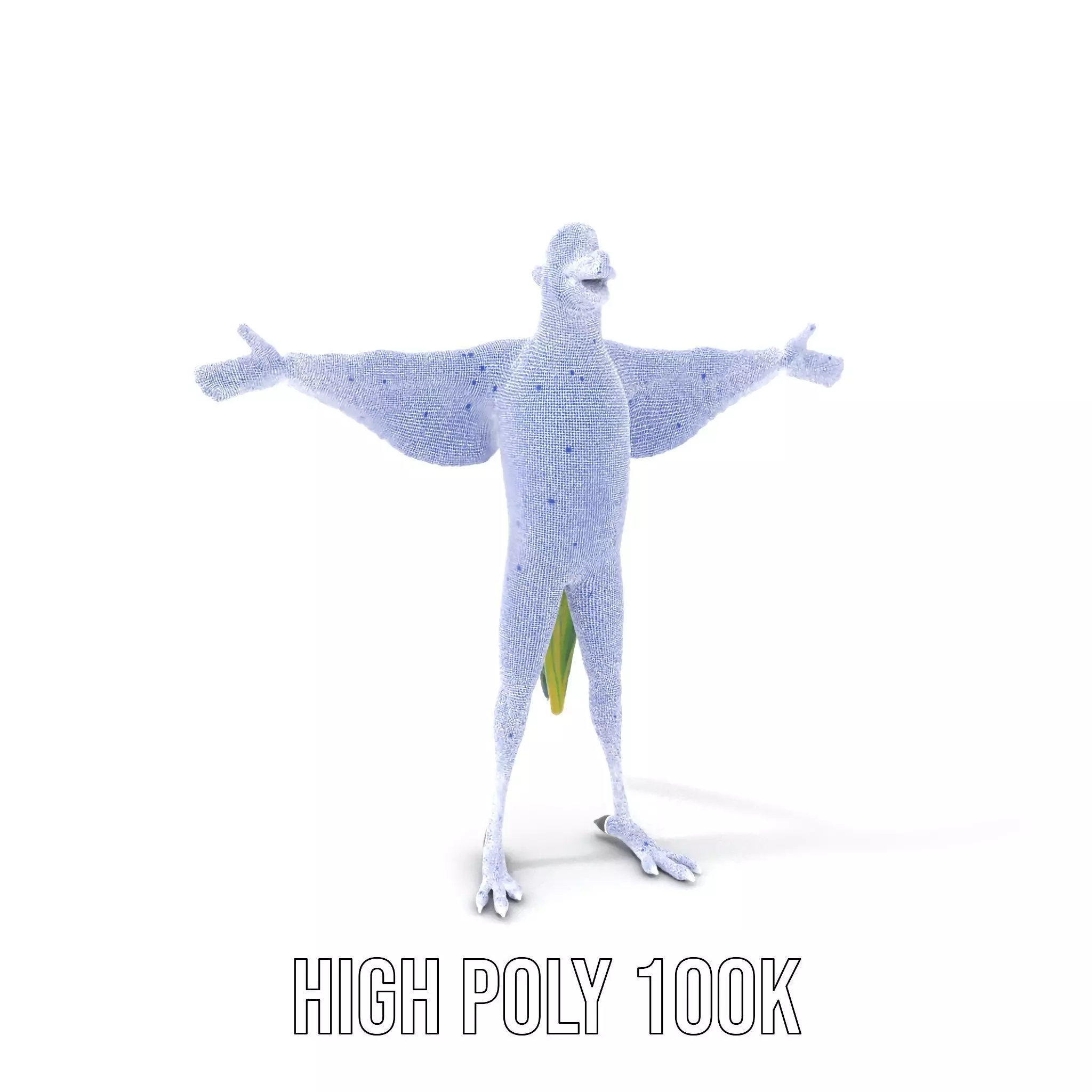 Vibrant Parrot Character model pack Low-poly 3D model_4