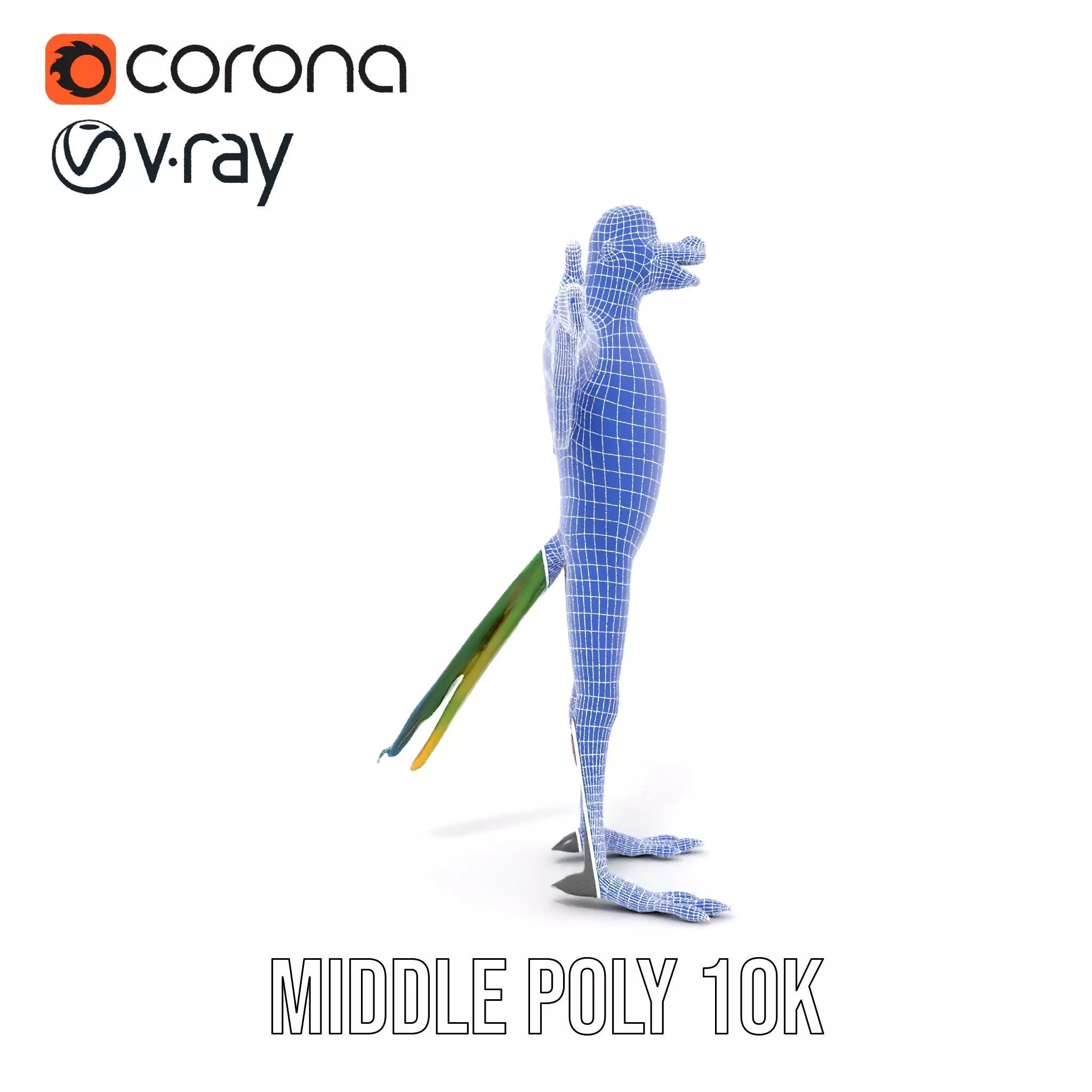 Vibrant Parrot Character model pack Low-poly 3D model_29