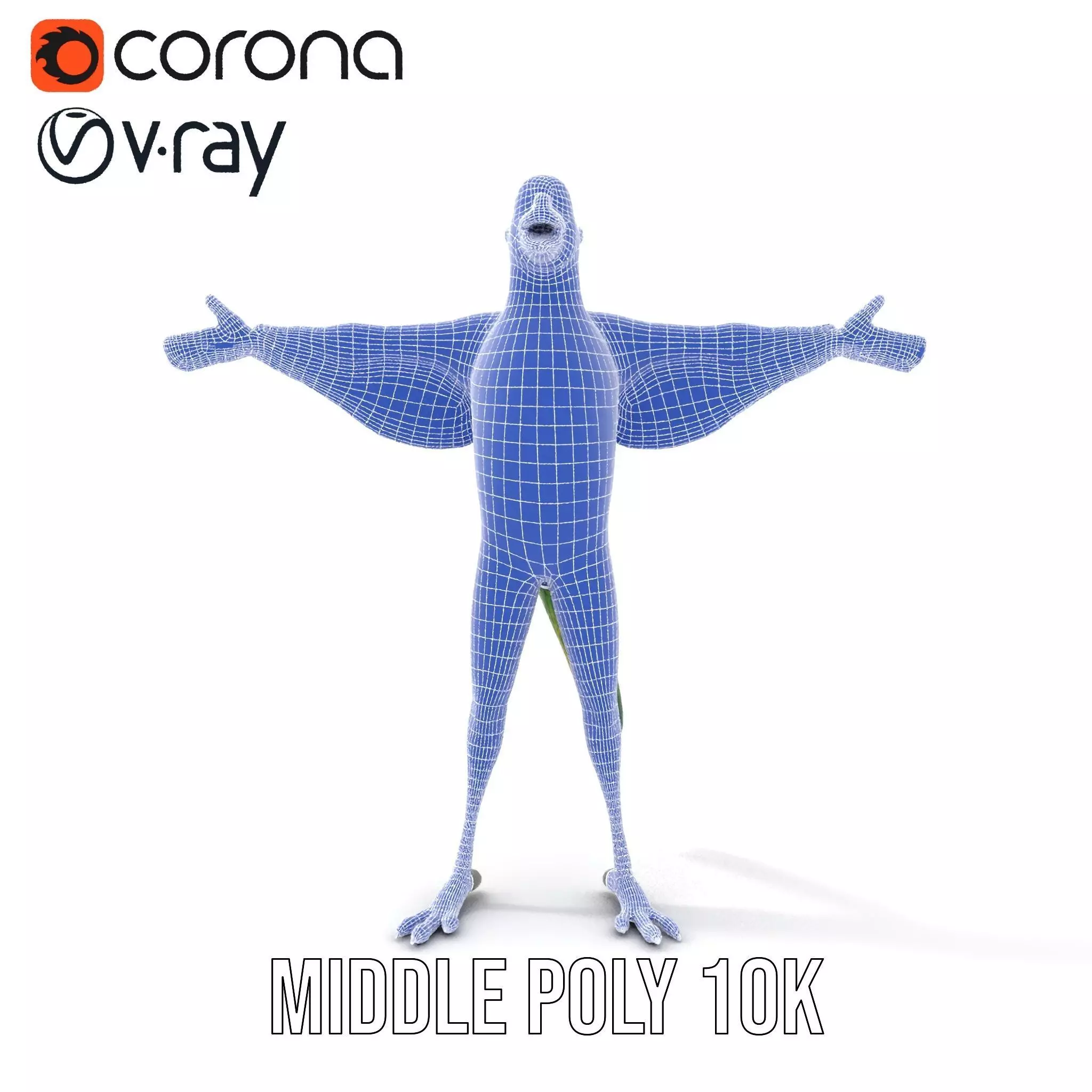 Vibrant Parrot Character model pack Low-poly 3D model_26