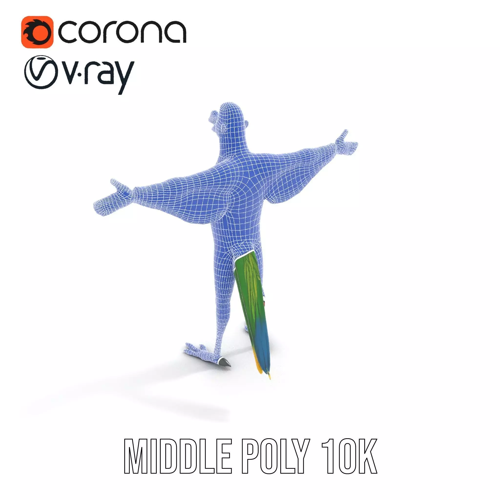 Vibrant Parrot Character model pack Low-poly 3D model_13