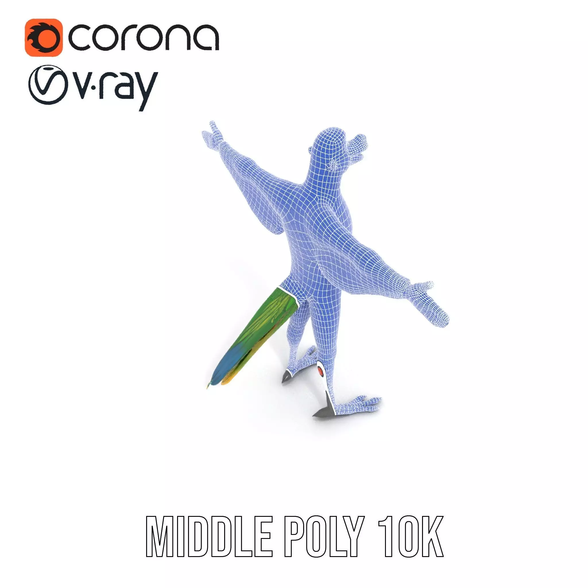 Vibrant Parrot Character model pack Low-poly 3D model_23