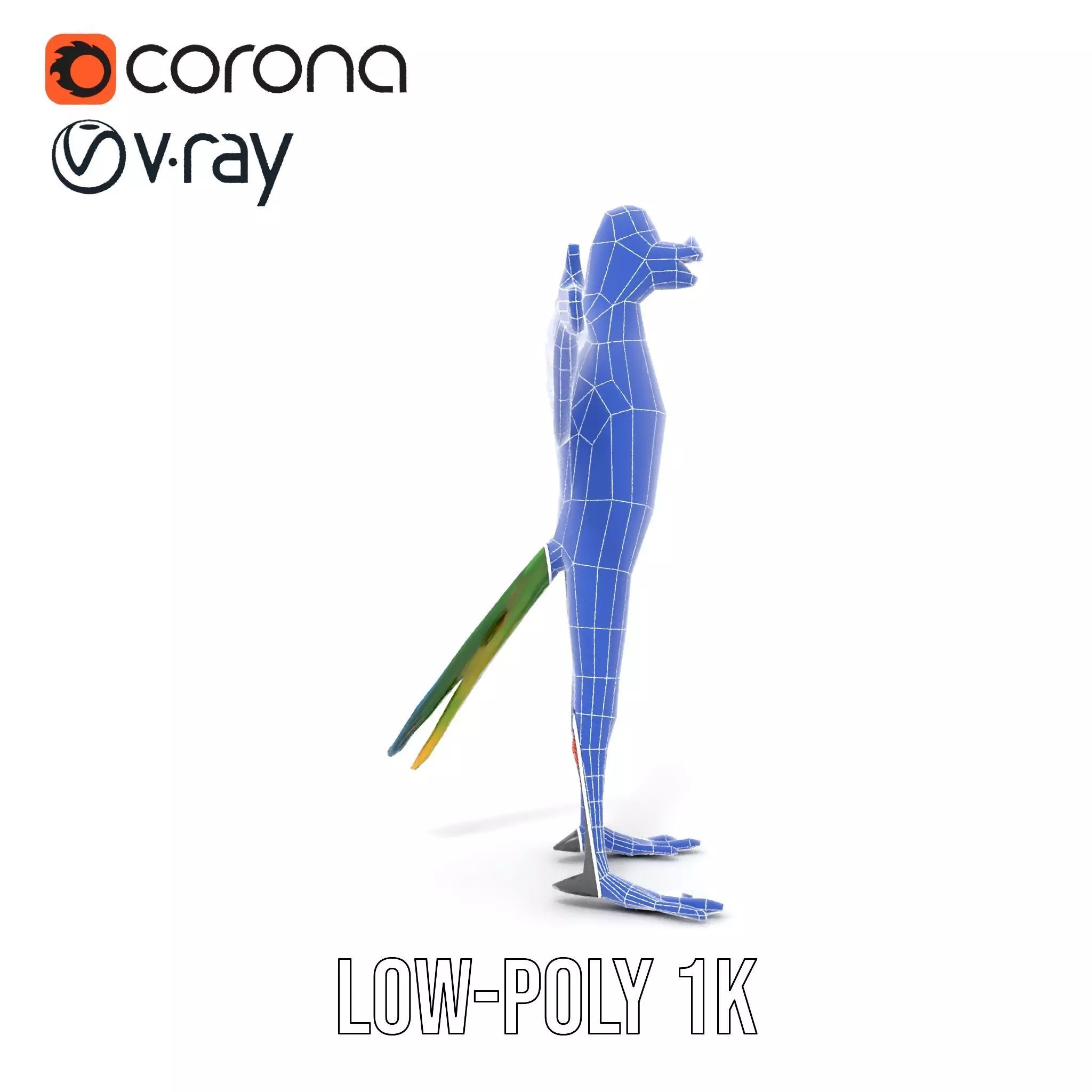 Vibrant Parrot Character model pack Low-poly 3D model_30