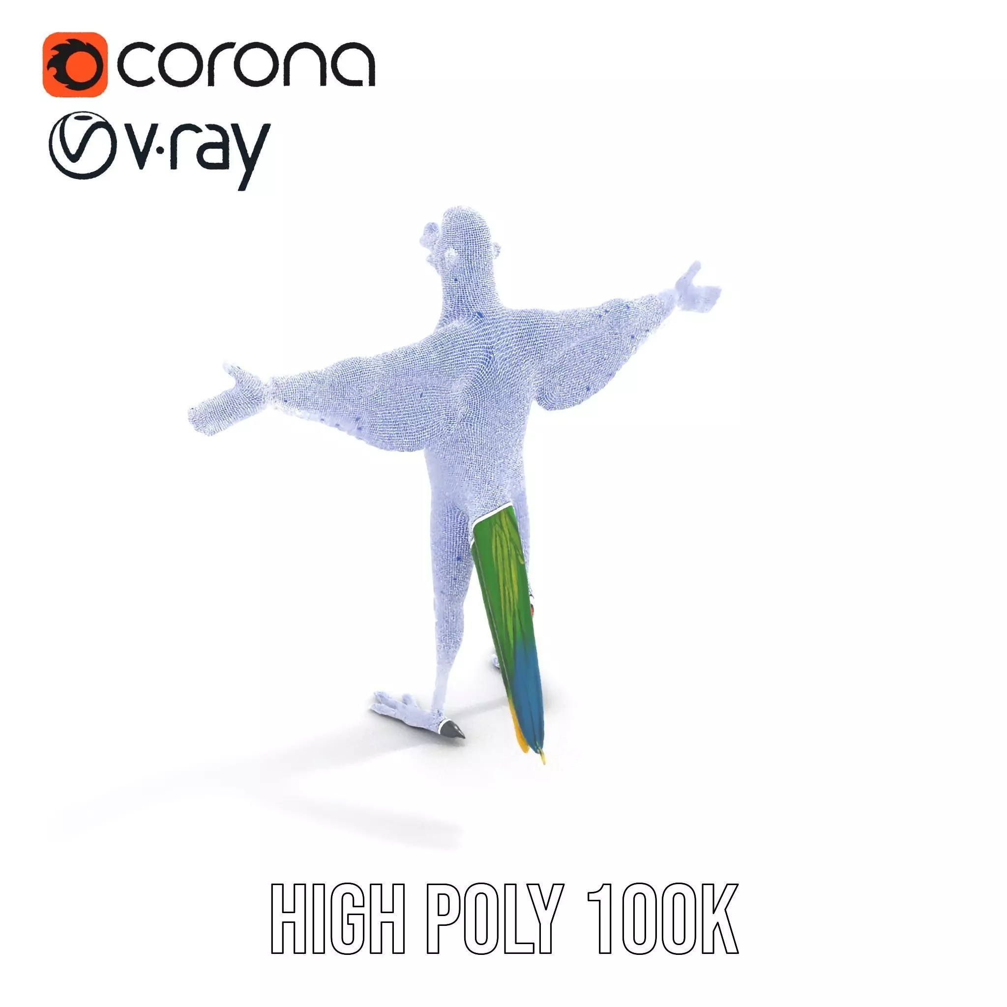Vibrant Parrot Character model pack Low-poly 3D model_33