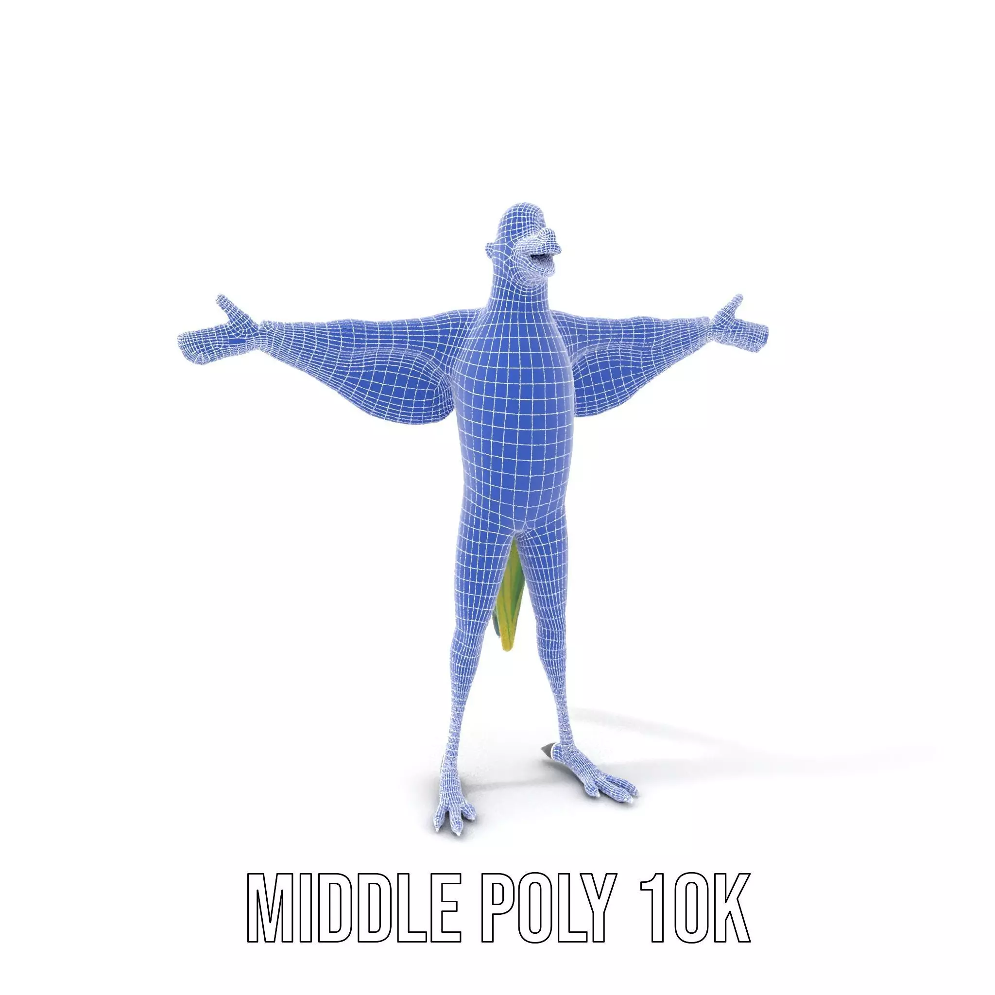 Vibrant Parrot Character model pack Low-poly 3D model_16