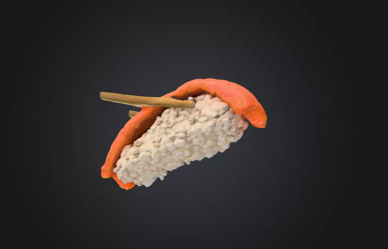 Sushi Delight Low-poly 3D model_13