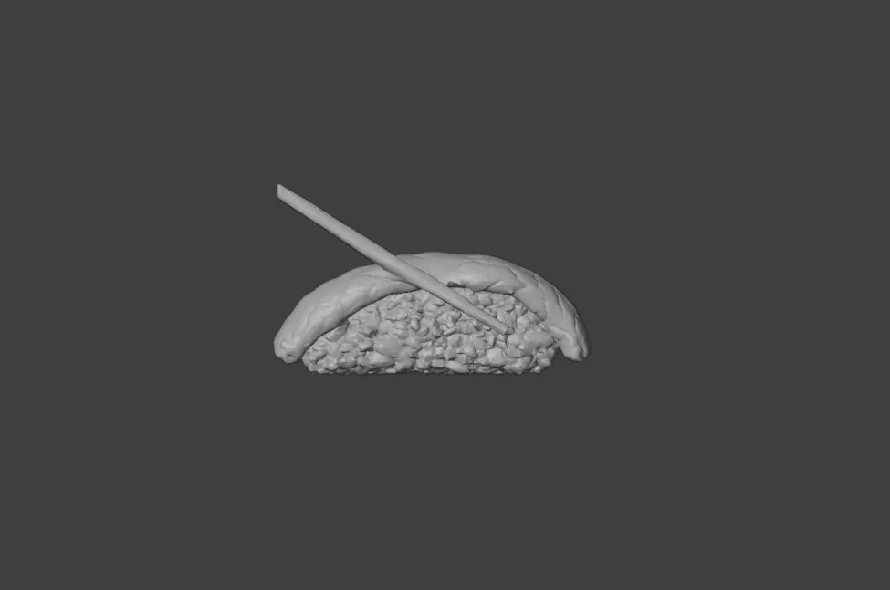 Sushi Delight Low-poly 3D model_19
