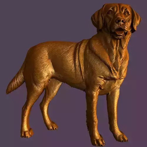 3d models for 3d printer Labrador Retriever