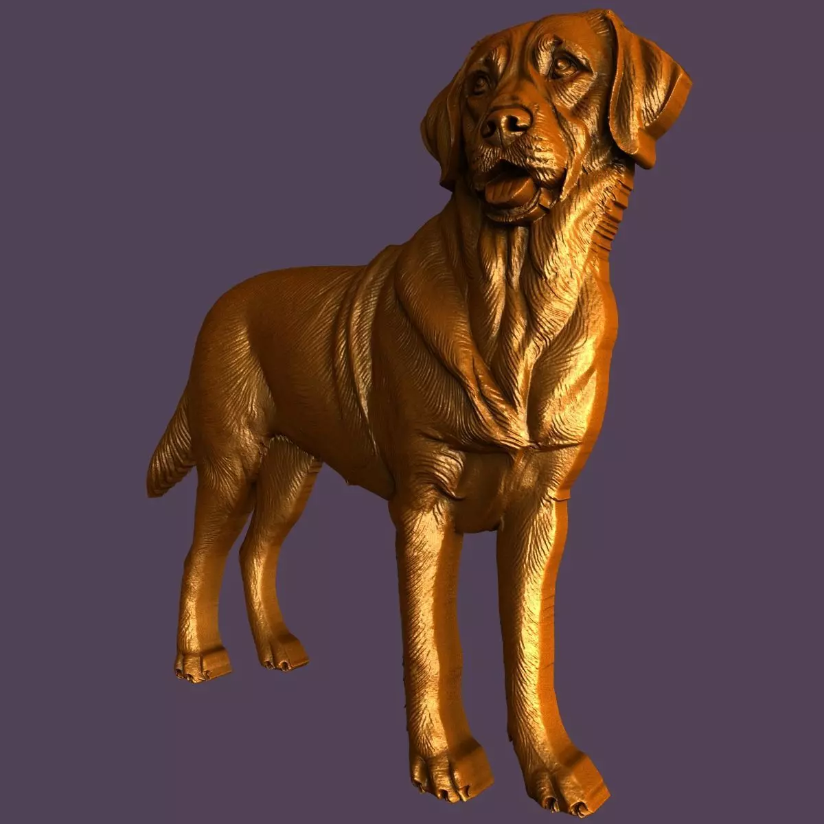 3d models for 3d printer Labrador Retriever 3D model_2