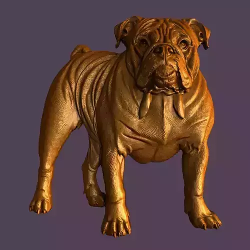 3d models for 3d printer English Bulldog