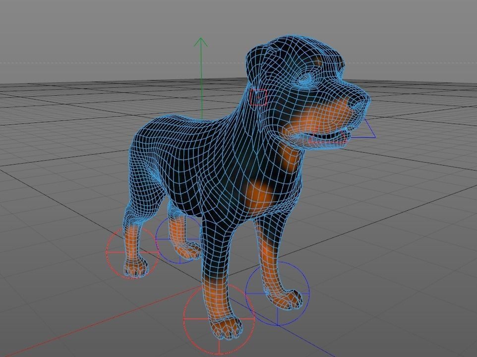 Dog Rottweiler Low-poly 3D model_4