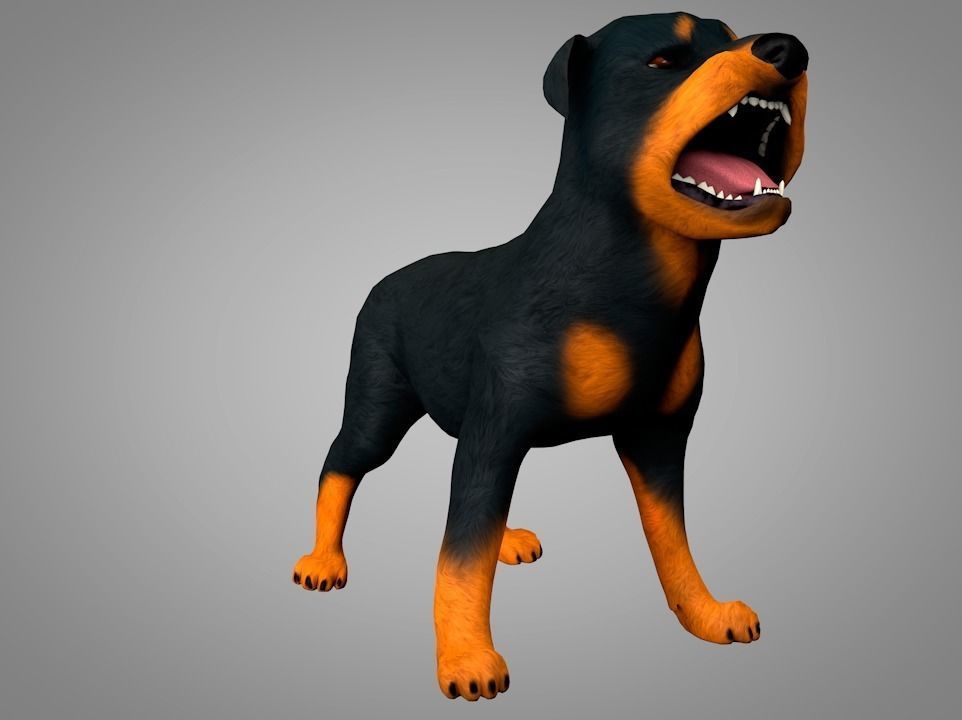 Dog Rottweiler Low-poly 3D model_0