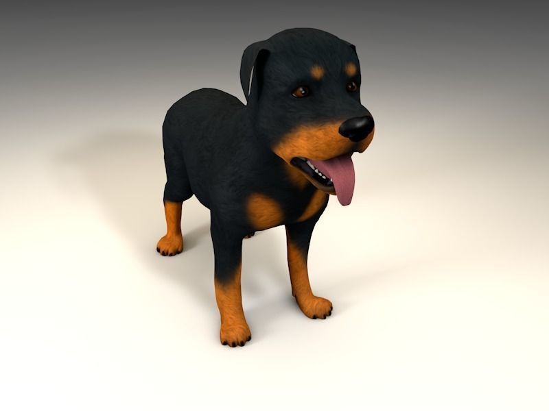 Dog Rottweiler Low-poly 3D model_10