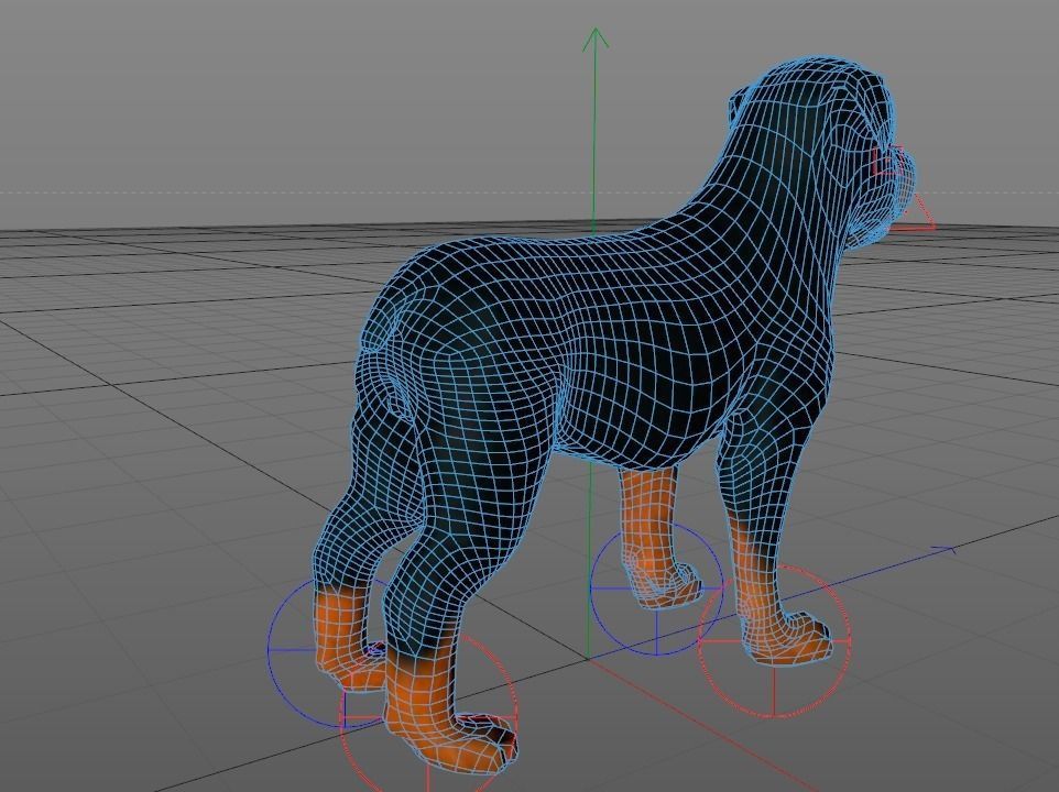 Dog Rottweiler Low-poly 3D model_5