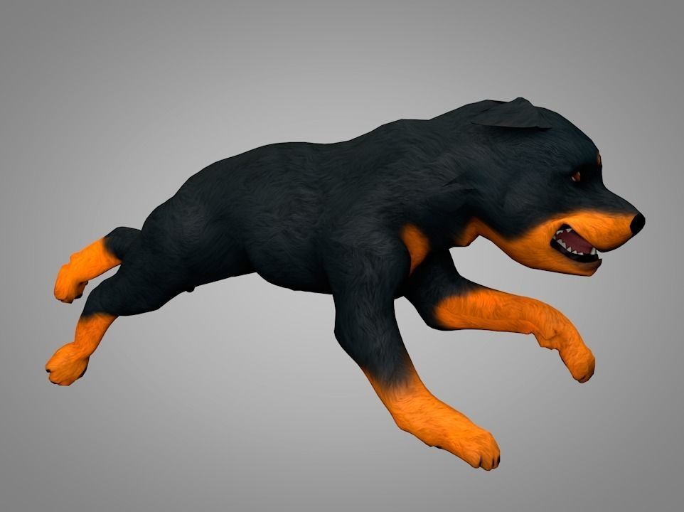 Dog Rottweiler Low-poly 3D model_9