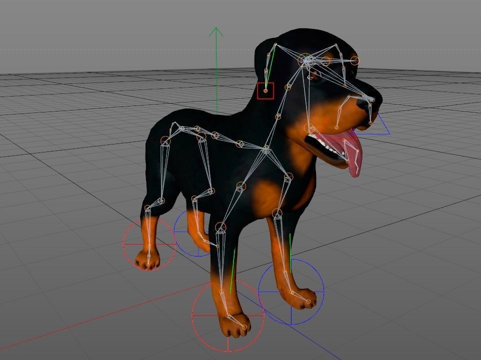 Dog Rottweiler Low-poly 3D model_7