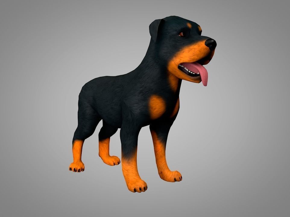 Dog Rottweiler Low-poly 3D model_2