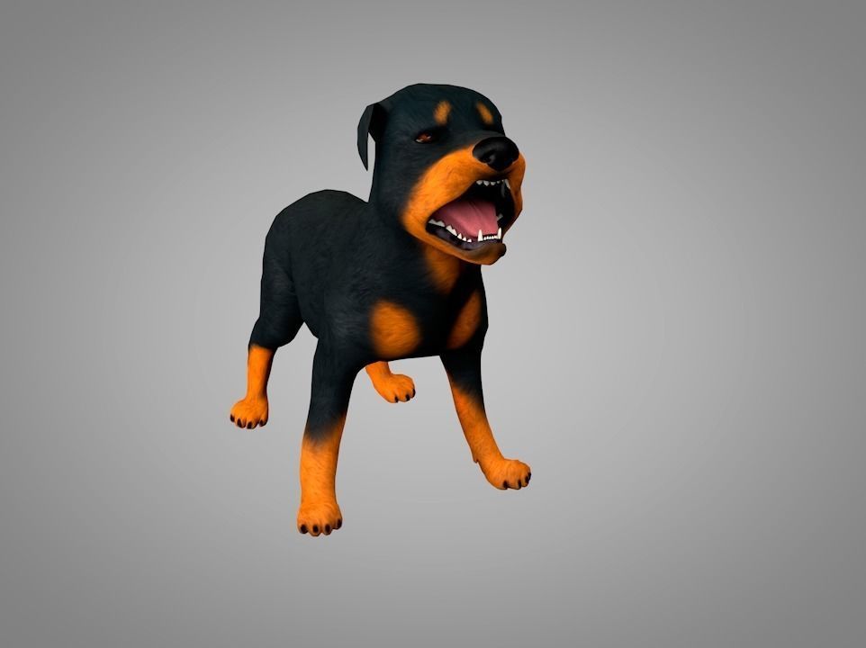 Dog Rottweiler Low-poly 3D model_3