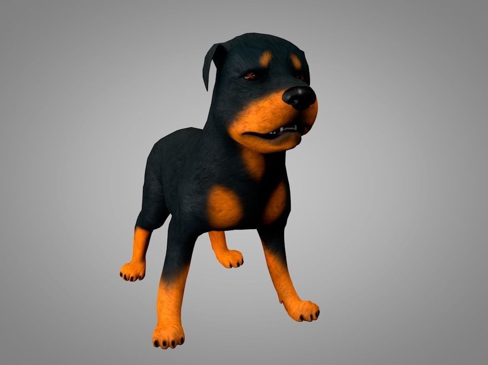 Dog Rottweiler Low-poly 3D model_1