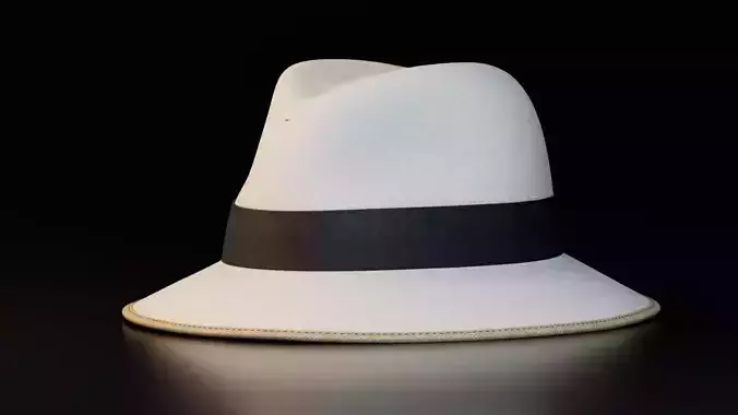 Realistic Fedora Hat