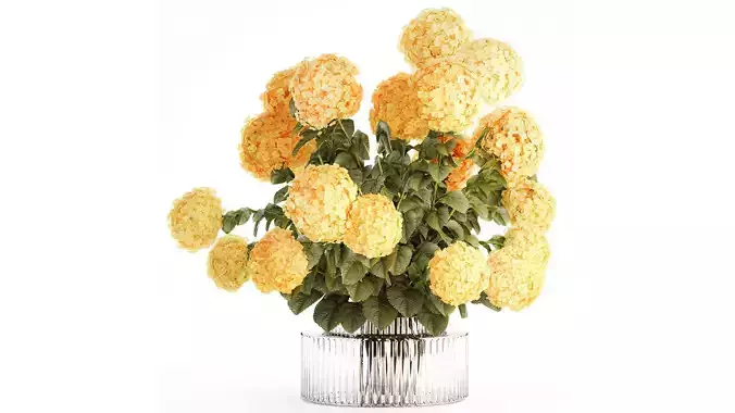 Realistic bouquet modern glass vase yellow hydrangea 656