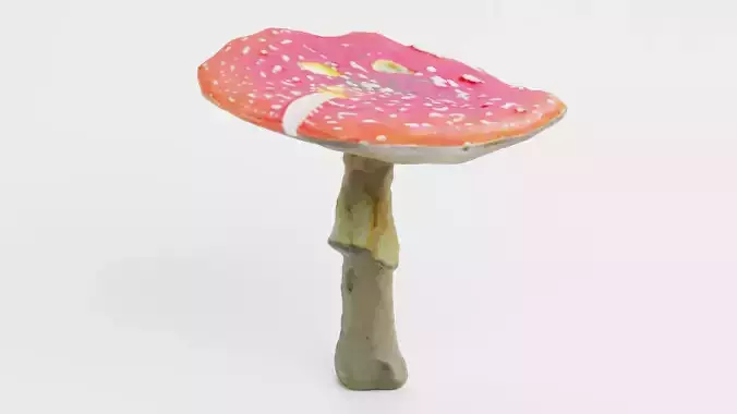 Amanita Muscaria V2 - Fly Agaric Mushroom