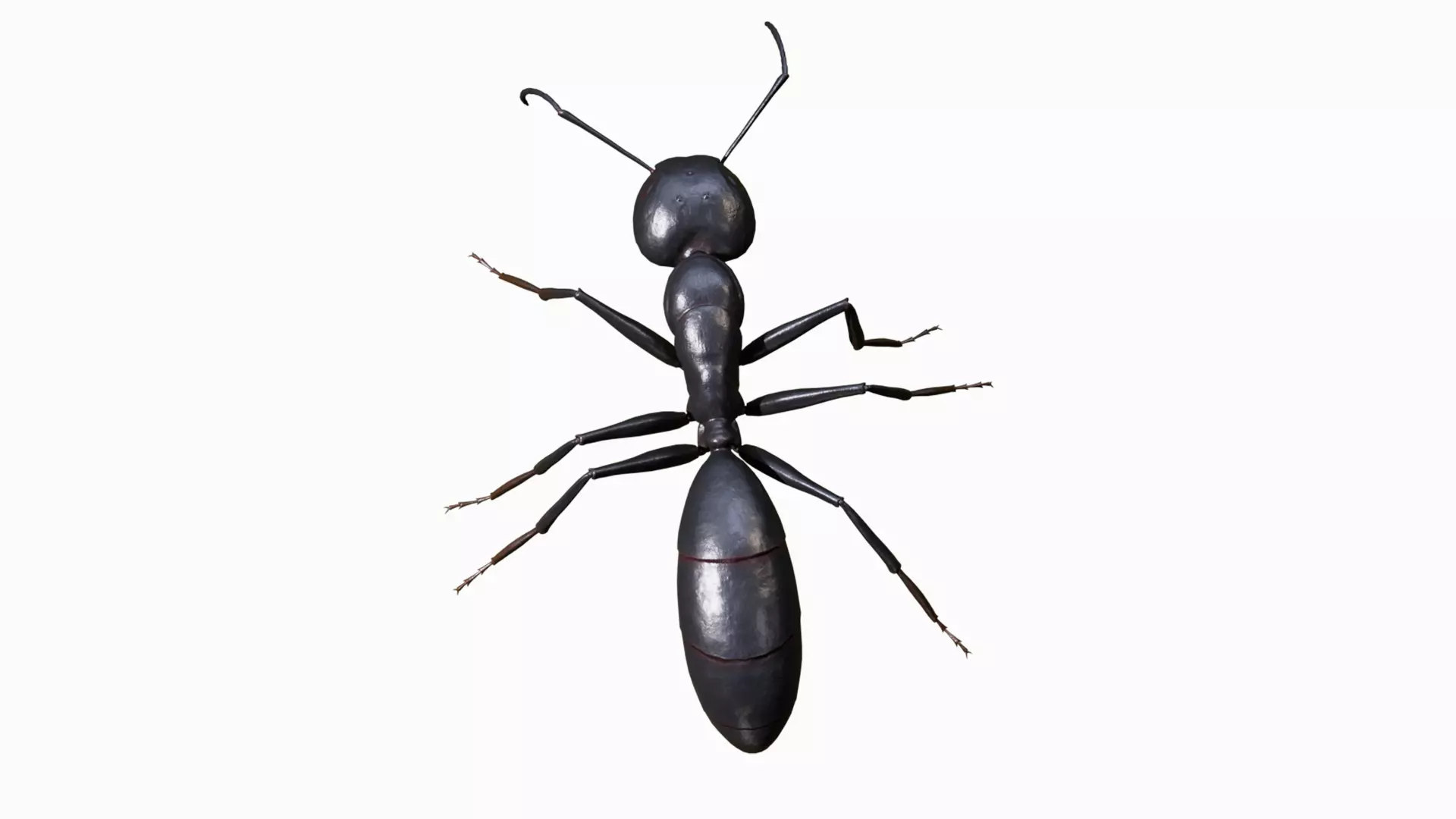 Ant walking game ready model Low-poly 3D model_3