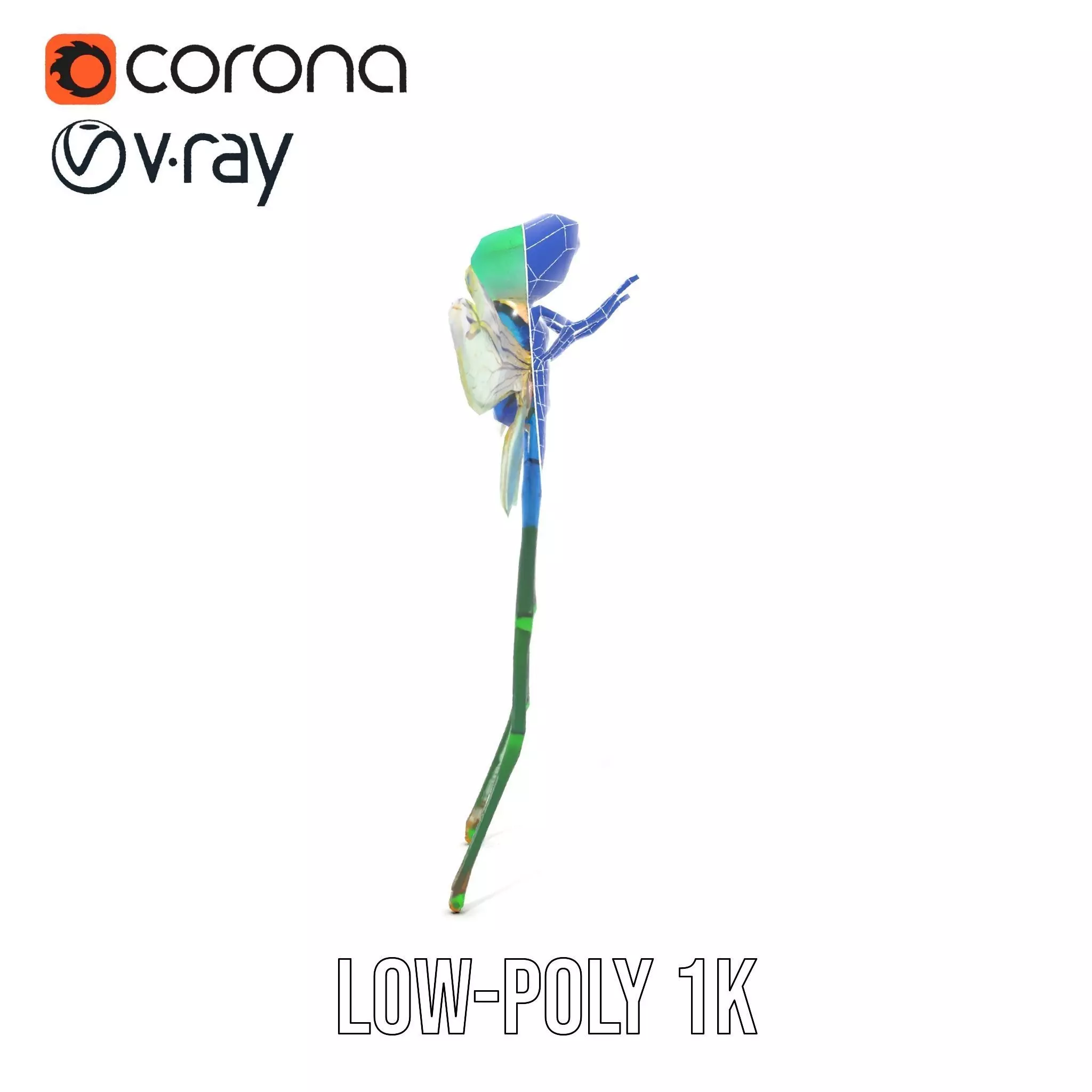 Vibrant Dragonfly model pack Low-poly 3D model_22