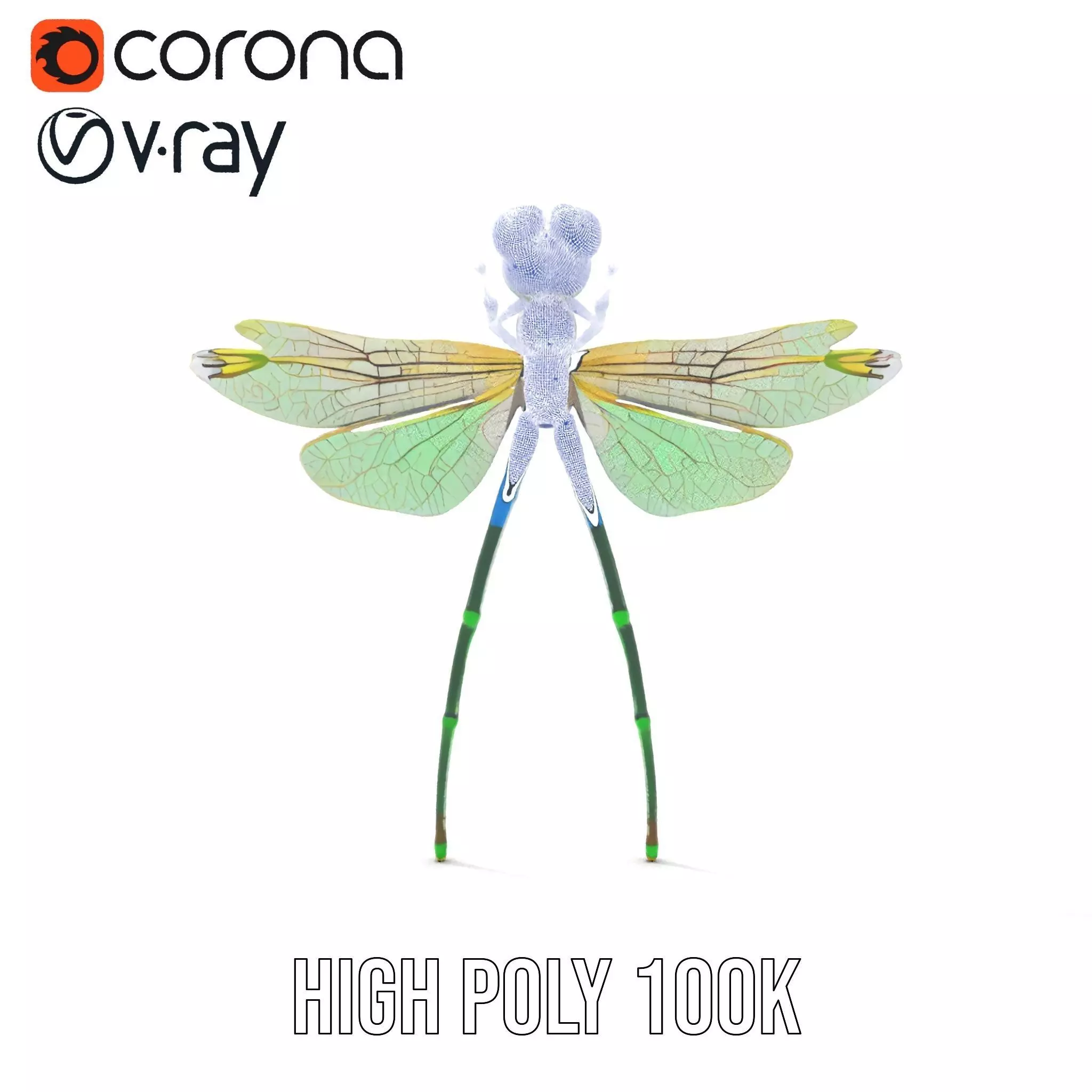 Vibrant Dragonfly model pack Low-poly 3D model_32