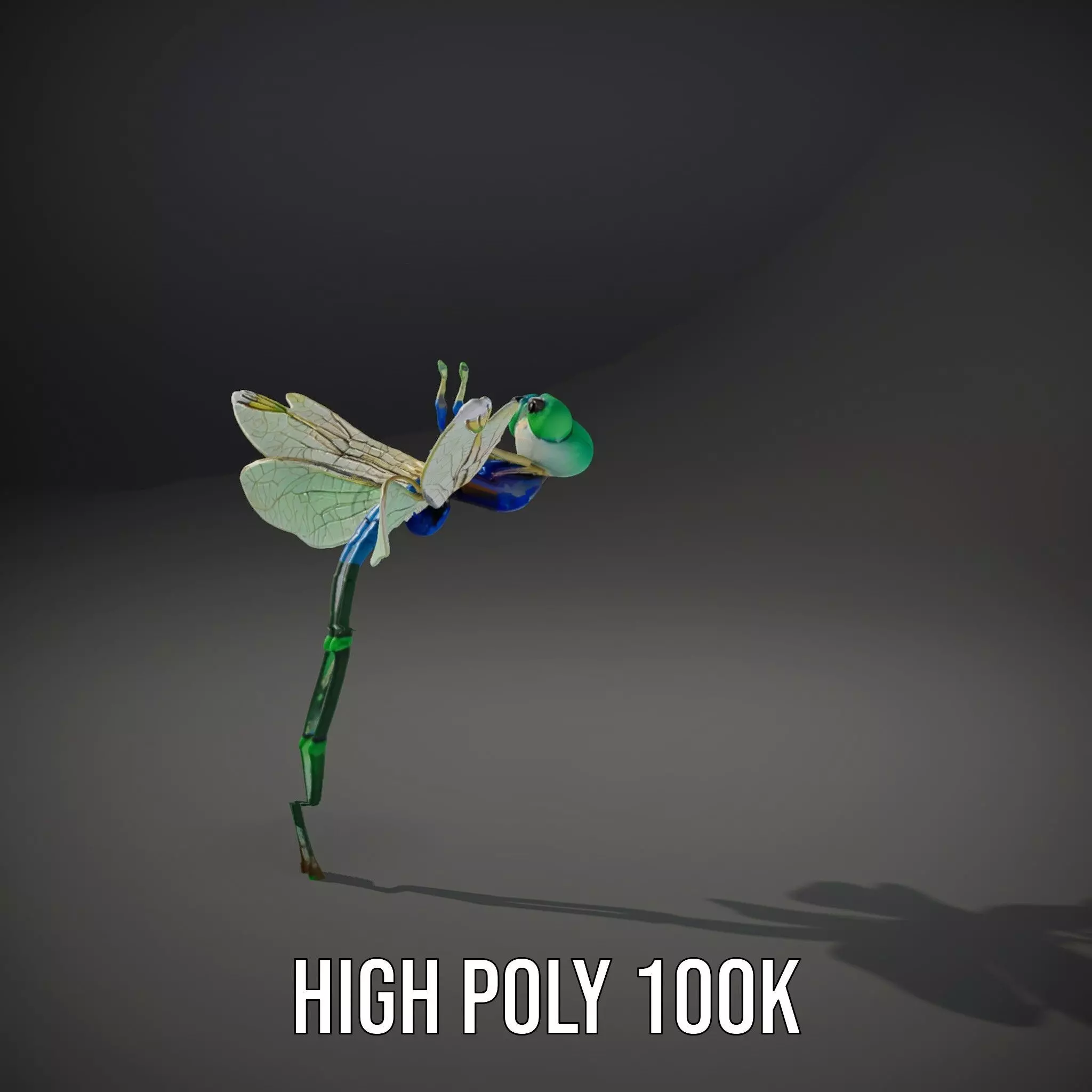 Vibrant Dragonfly model pack Low-poly 3D model_20