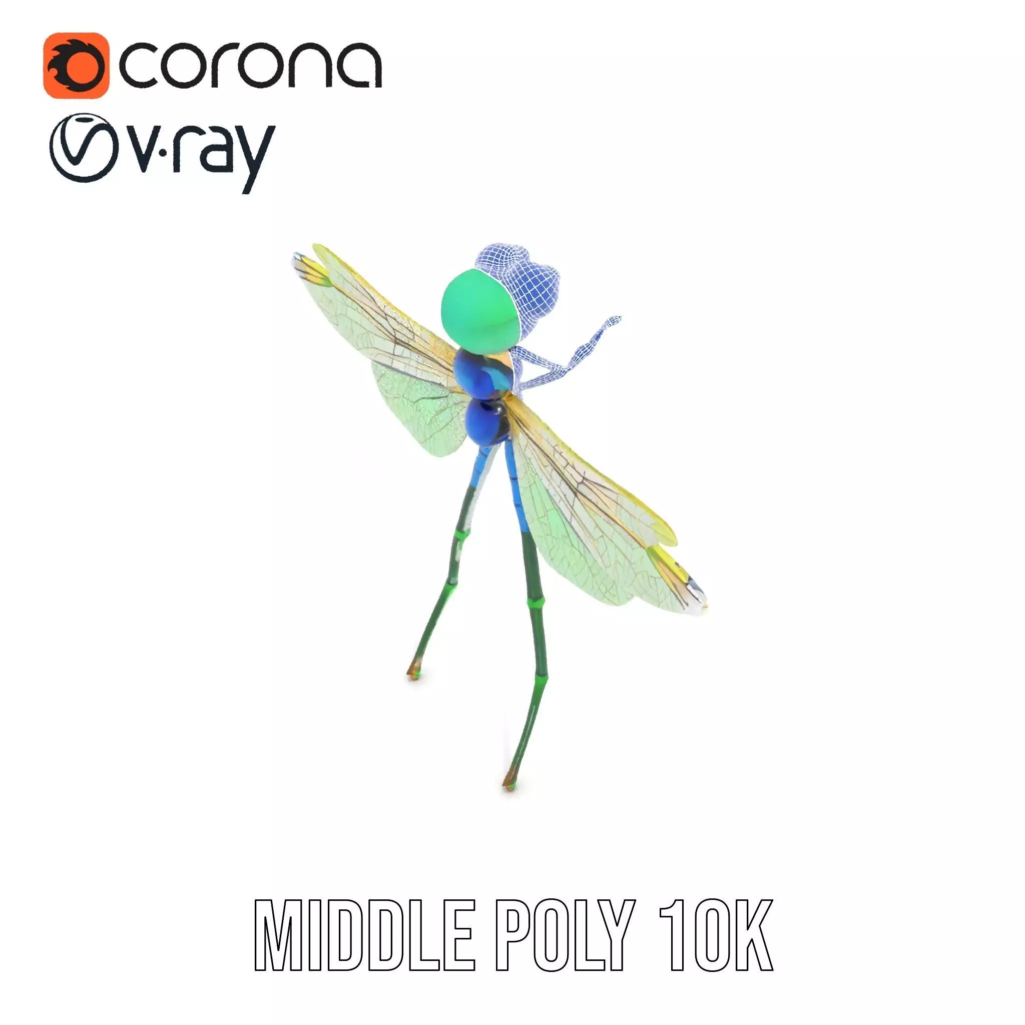 Vibrant Dragonfly model pack Low-poly 3D model_27