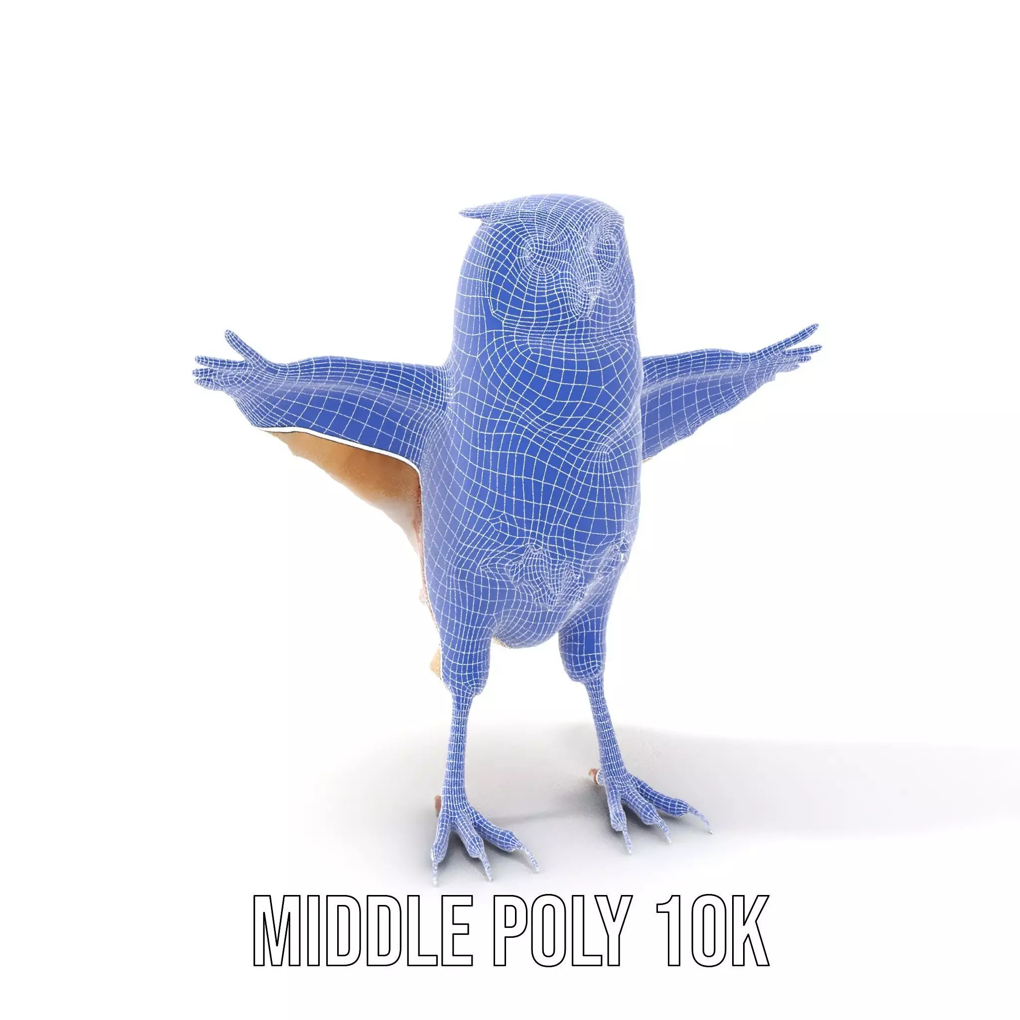 Spotted Owl Animation model pack Low-poly 3D model_13