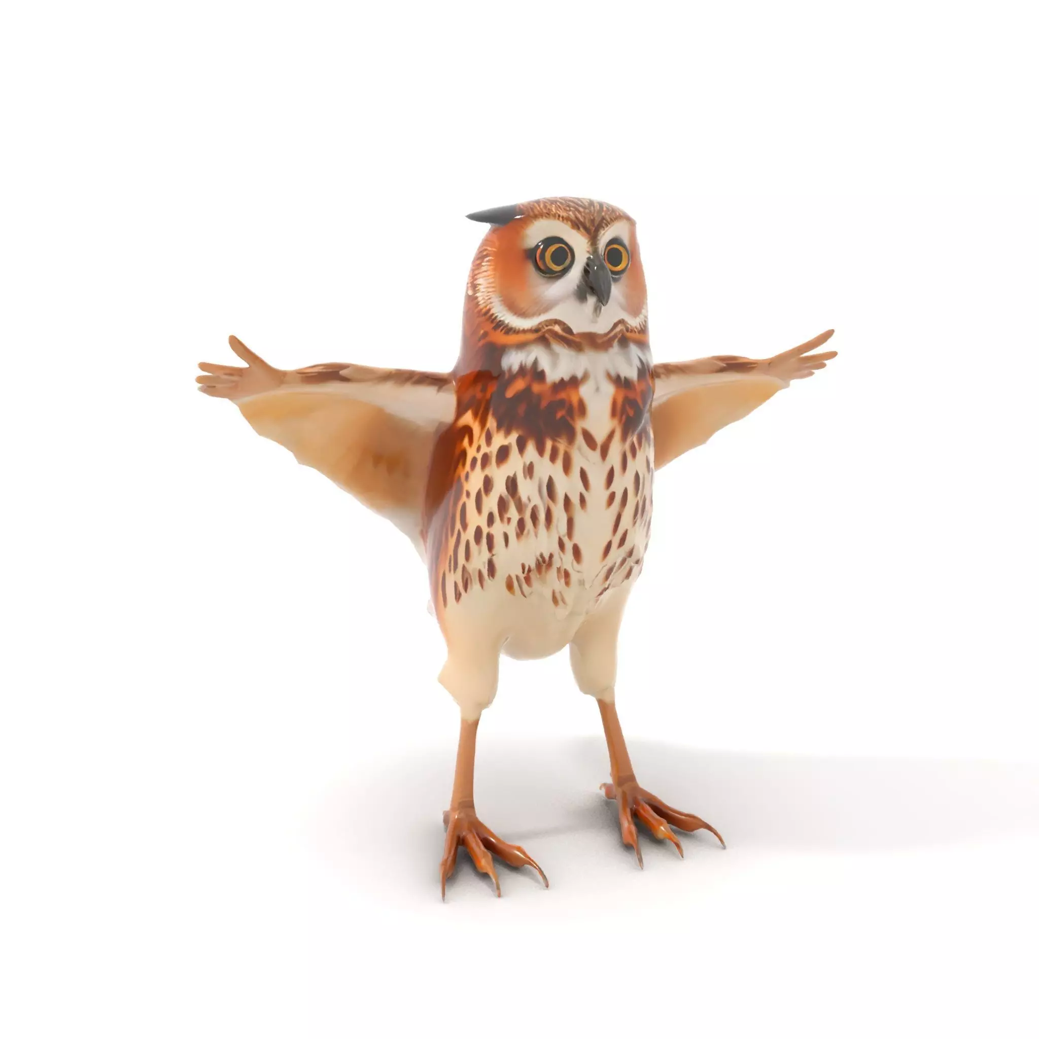 Spotted Owl Animation model pack Low-poly 3D model_6