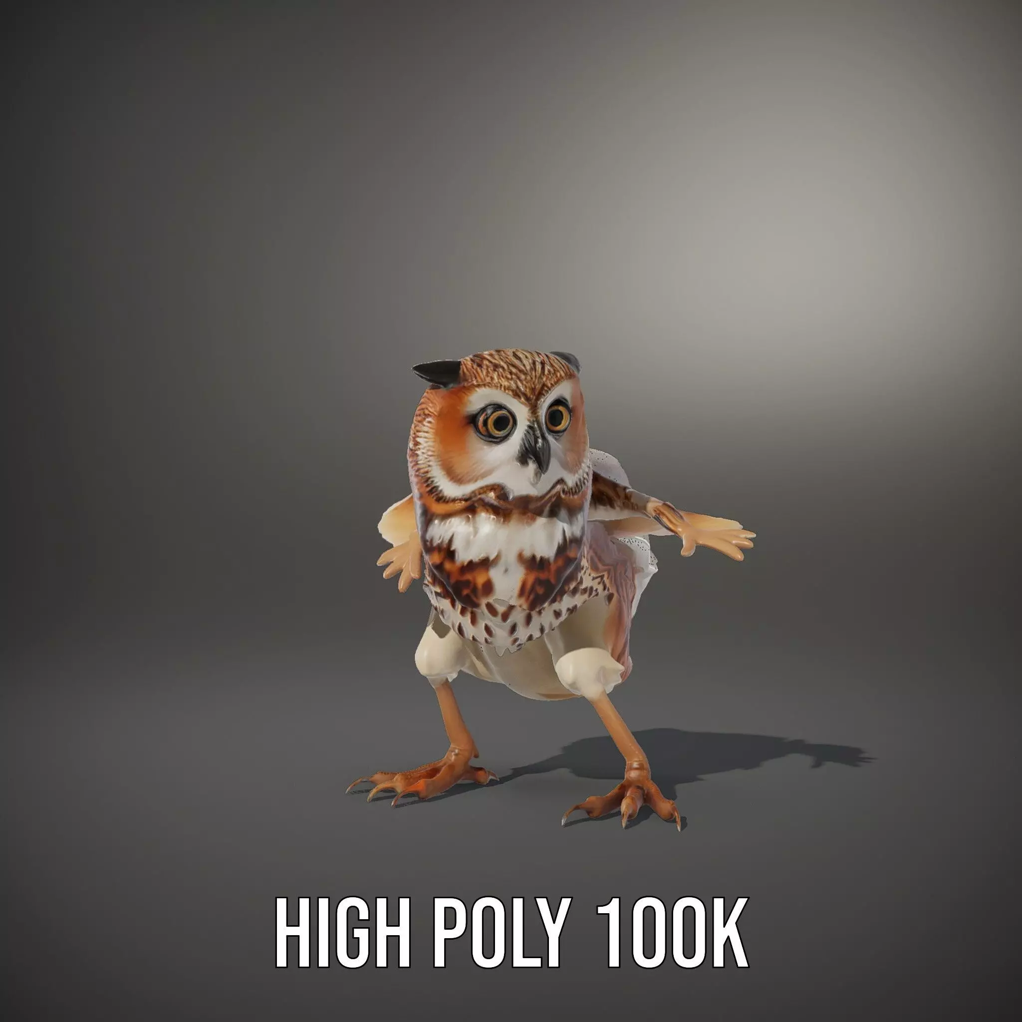 Spotted Owl Animation model pack Low-poly 3D model_10