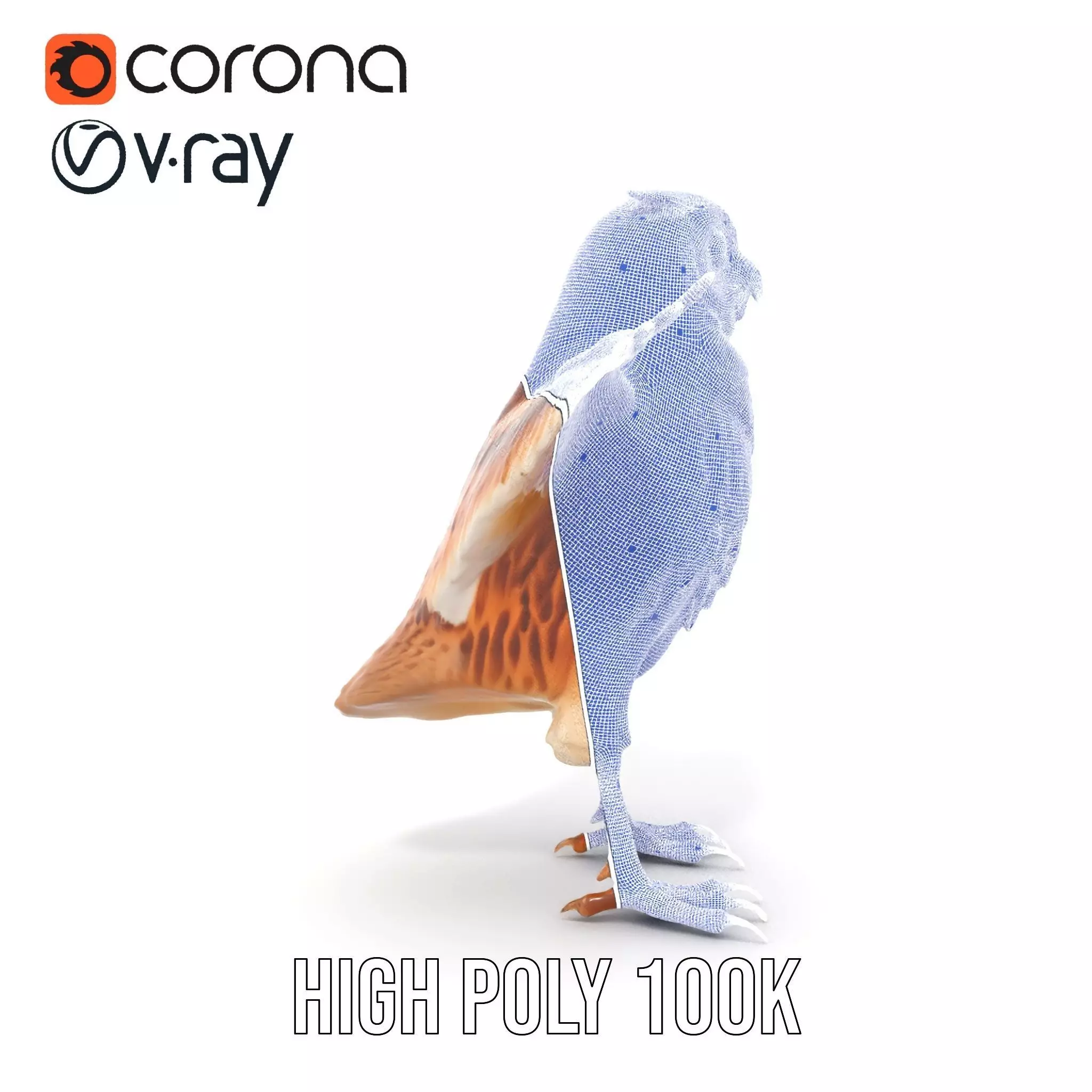 Spotted Owl Animation model pack Low-poly 3D model_33