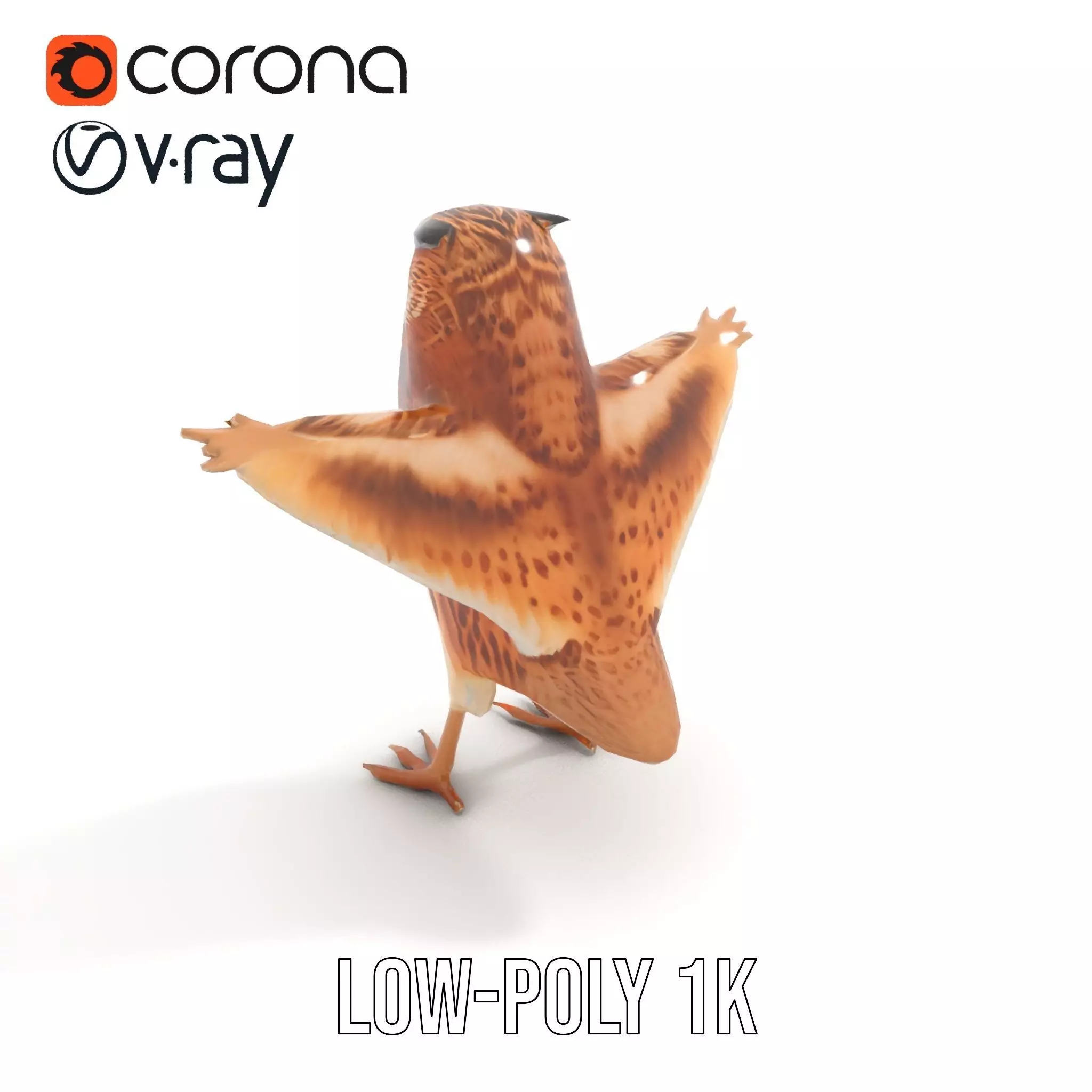 Spotted Owl Animation model pack Low-poly 3D model_14