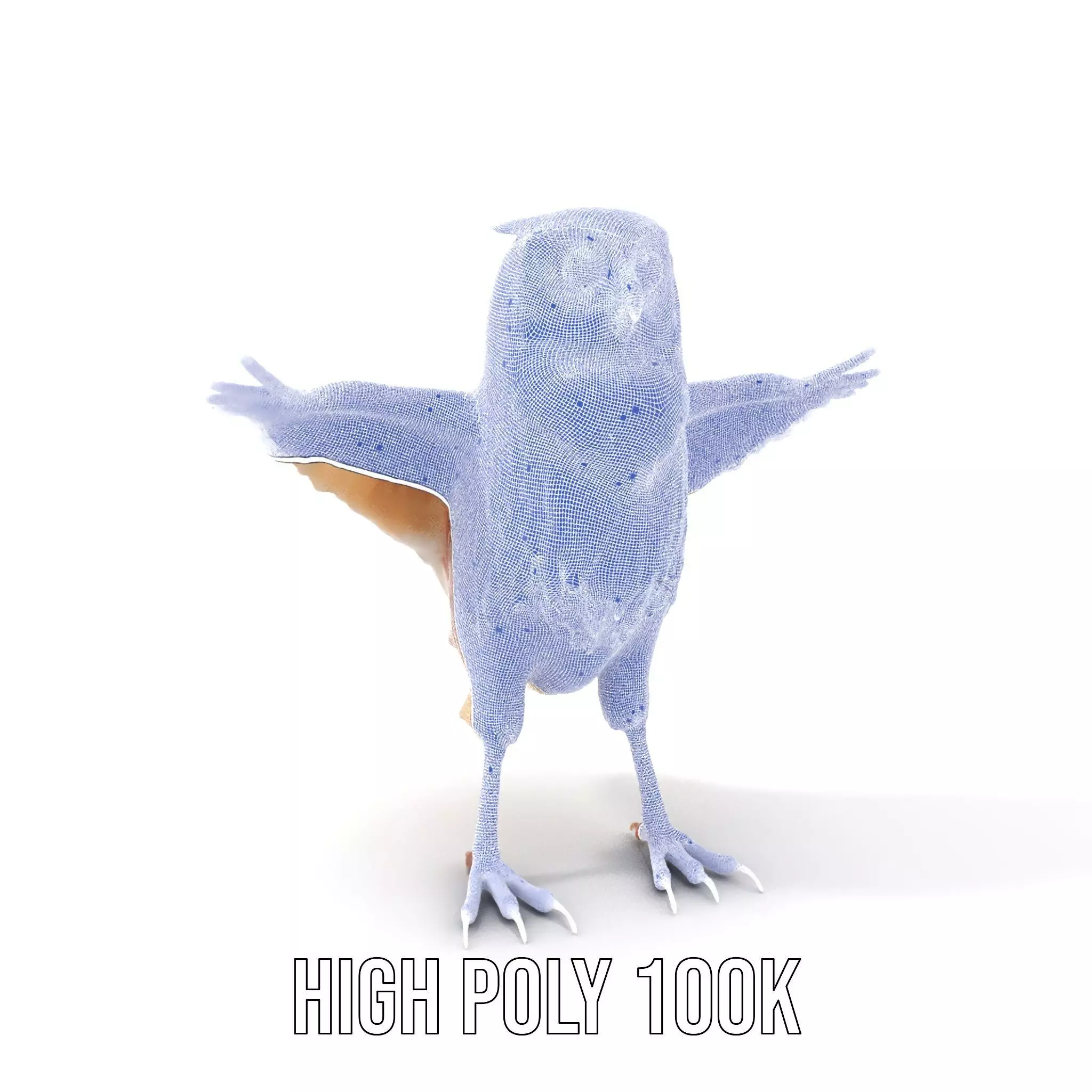 Spotted Owl Animation model pack Low-poly 3D model_4