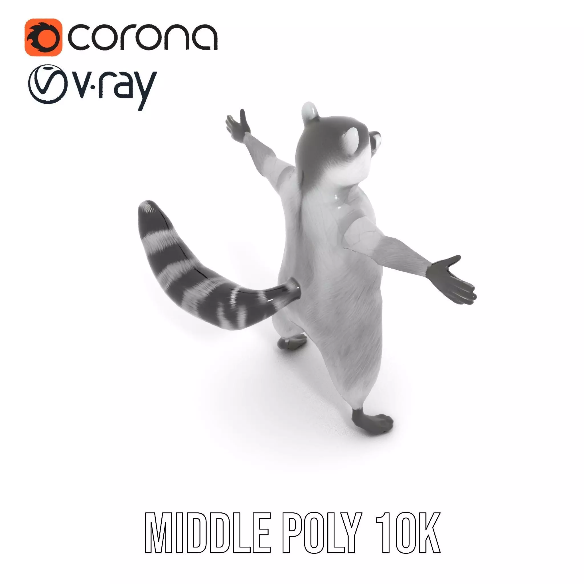 Realistic Raccoon Character model pack Low-poly 3D model_11