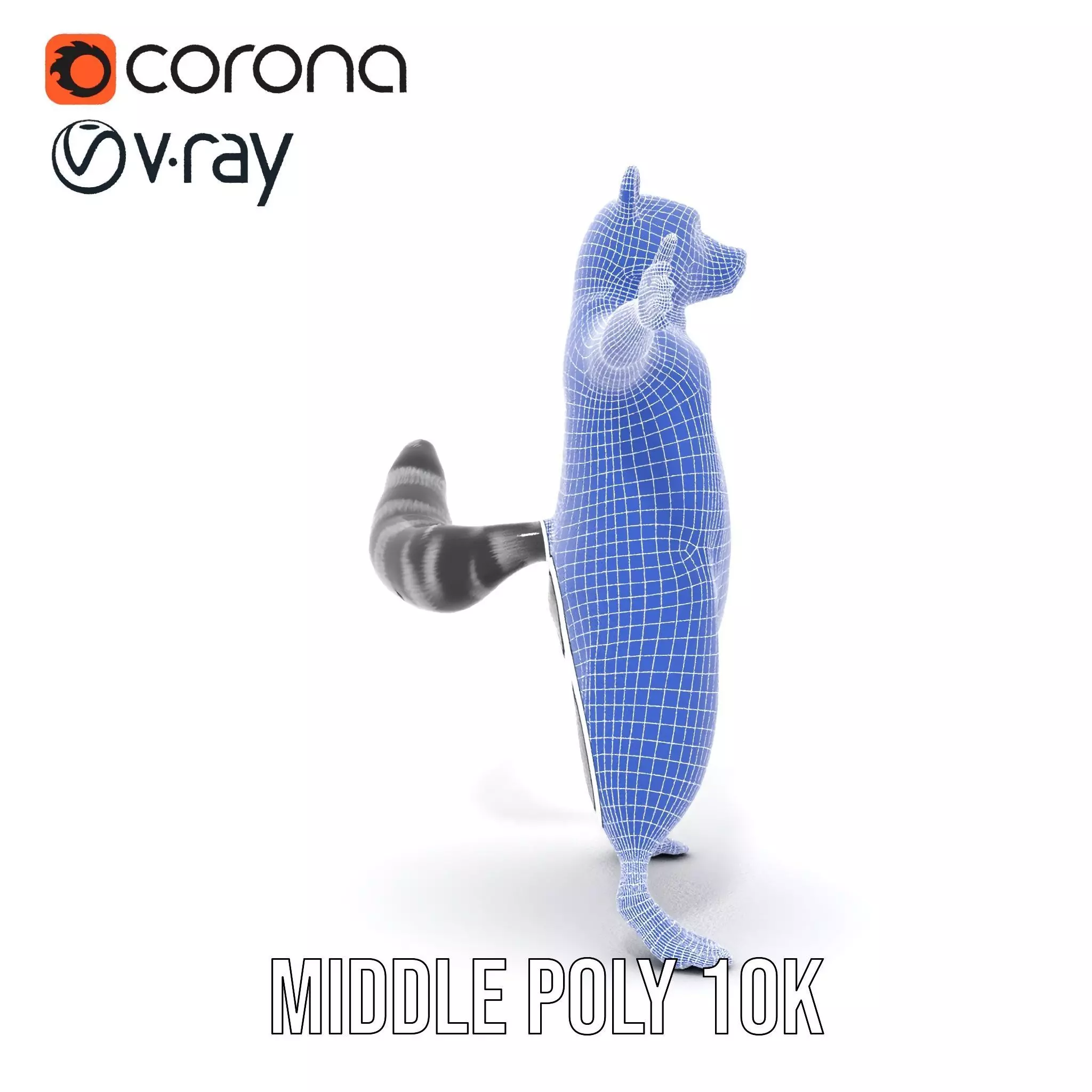 Realistic Raccoon Character model pack Low-poly 3D model_30