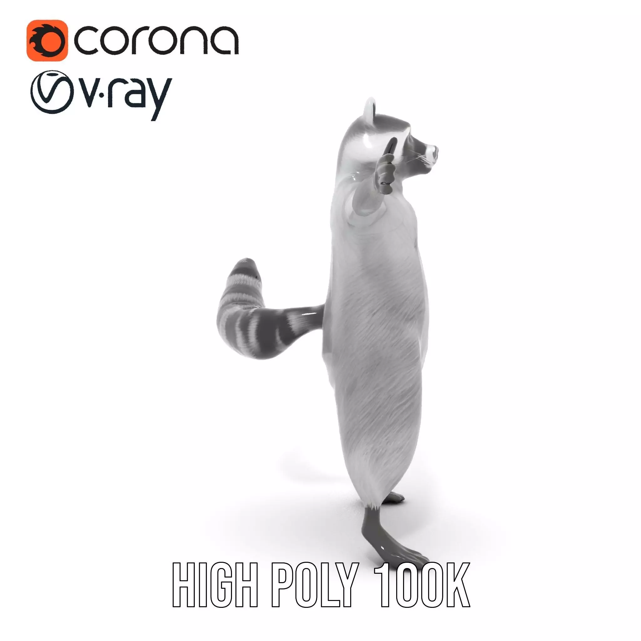 Realistic Raccoon Character model pack Low-poly 3D model_20