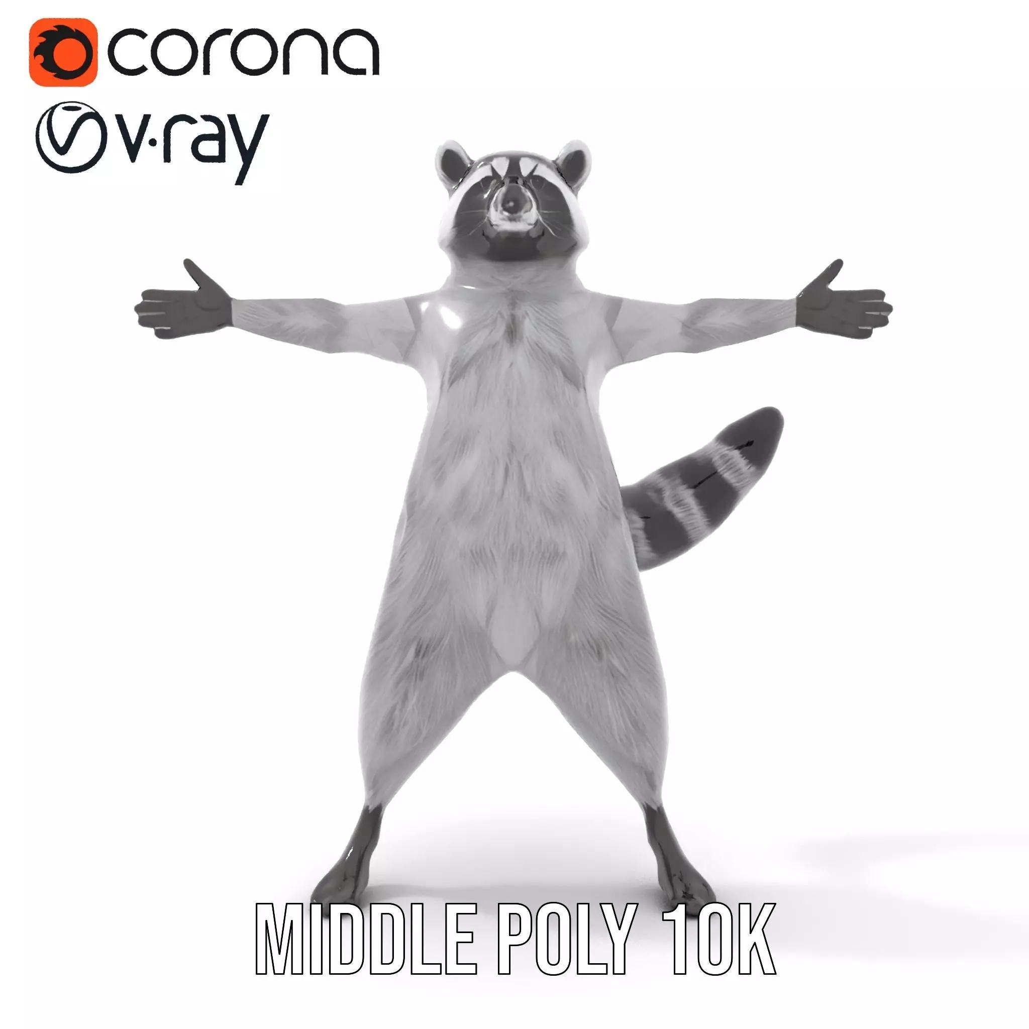 Realistic Raccoon Character model pack Low-poly 3D model_18