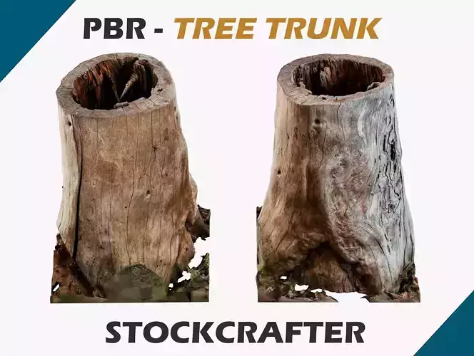 Tree log photoscan - Dried and Rotten with a hole 3D model