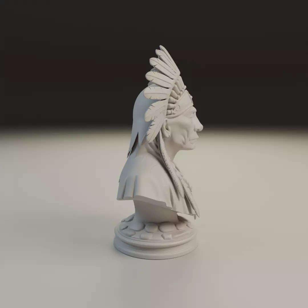 Native American Bust 3D print model_2
