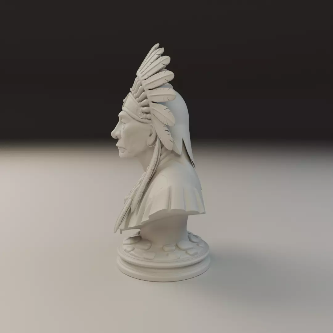 Native American Bust 3D print model_4