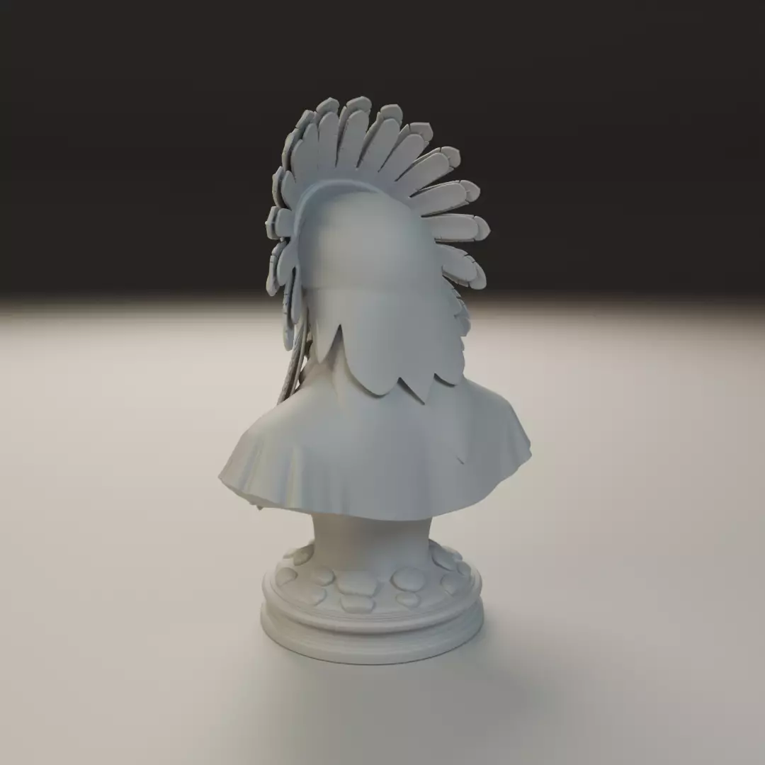 Native American Bust 3D print model_8