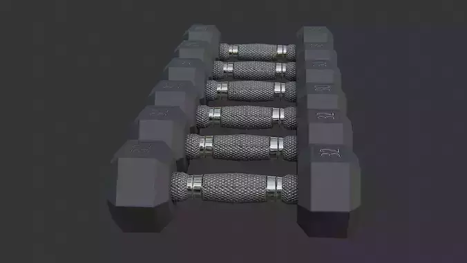 Metal Dumbbell Set for Home Gym Weight Training