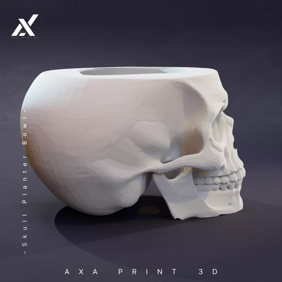 Skull Planter Bowl STL 3D Printable Halloween Decor 3D print model_2